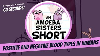 Positive and Negative Blood Types  Amoeba Sisters Shorts [upl. by Gert]