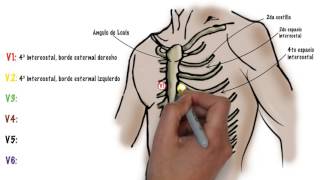 Como hacer un ECG electrocardiograma [upl. by Ninette]