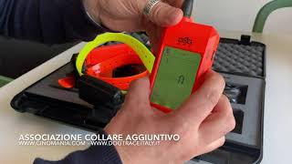 Associazione collare X20X30 Dogtrace GPS con ricevente [upl. by Cathyleen713]