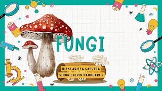 Belajar Tentang Fungi Fakta Menarik dan Perannya🍄 [upl. by Quintilla285]