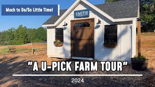 Farm Tour of Our UPick Berry and Cut Flower Farm 2024 [upl. by Rolland619]