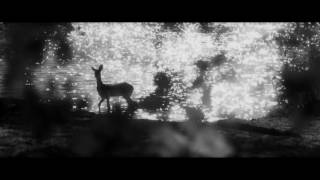 FlyingLibertyMovies  Woodkid  The Deer [upl. by Alleuqram]