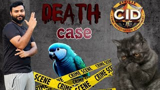 parrot death case  cid of Pakistan  bili tota kah gyi  Cid  YEEEP OFFICIAL [upl. by Chemesh]