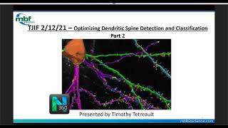 Webinar Optimizing Dendritic Spine Detection and Classification Part 2 [upl. by Simmie913]