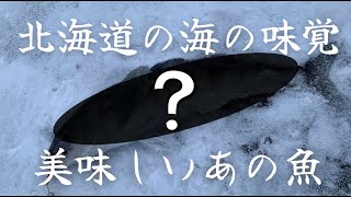 【北海道釣り】北の海の味覚を釣り上げろ！ [upl. by Sully]