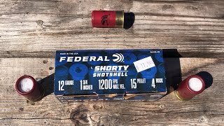 Federal Mini Shells 4 Buck  Breakdown [upl. by Edlyn]