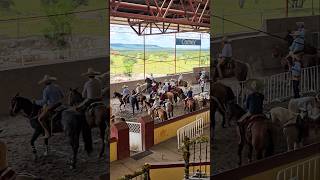 Coleadero Fiestas Patrias 2024 Union De San Antonio Jal🇲🇽 Arena to compete with horses shorts [upl. by Hara235]