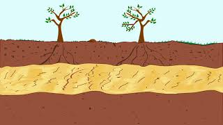 Soil profile [upl. by Nedlog993]