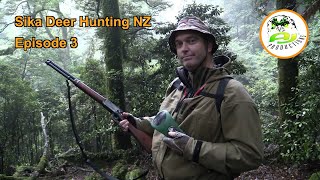 Sika Deer Hunting New Zealand The Rut continues EP 3 [upl. by Resay]