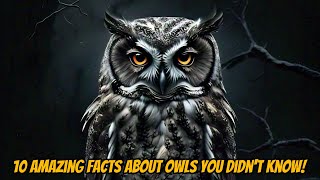 10 Amazing Facts About Owls You Didnt Know [upl. by Eentroc]