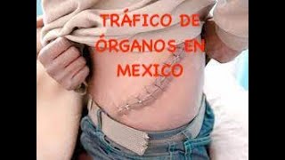 Documental del Trfico de Organos en México [upl. by Thun892]