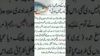 urdu inspirational quotesbayan [upl. by Noeruat]