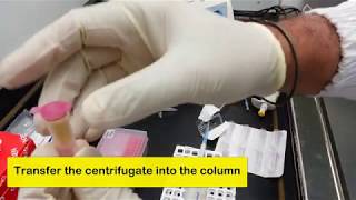 Plant RNA Extraction with Qiagen RNEasy Kit and Subtitles [upl. by Trow]