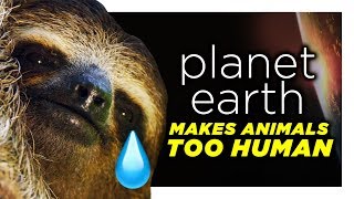 Planet Earth Is Reading Too Far Into These Animals  CH Shorts [upl. by Nuzzi968]