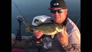 Northern California Fishing at the Thermalito After Bay They have huge LArge Mouth Bass [upl. by Llemij]