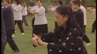 Master Wang Fu Lai Taichi demonstration  טאי צי [upl. by Uot]