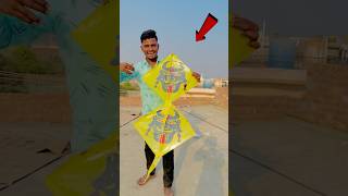 FLY A DOUBLE KITE 😱 shorts pkcrazyexperiments [upl. by Haran]