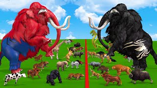 10 Spider Mammoth Elpehant vs Prehistoric Mammals vs White Albino Animals Size Comparison [upl. by Kohcztiy]