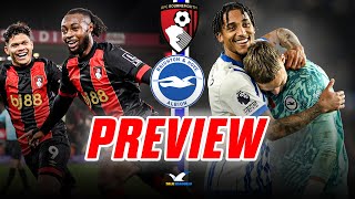 Bournemouth vs Brighton PREVIEW [upl. by Cordie63]