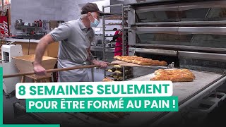 Pain  la guerre des boulangeries low cost  750GTV [upl. by Samalla]