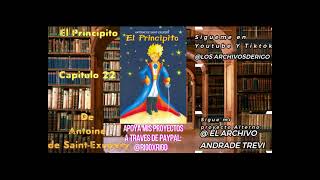 El principito  Audiolibro  Capitulo 22 [upl. by Ahsaekal]