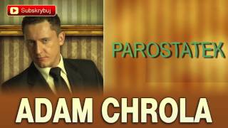 Parostatek  Adam Chrola Cover [upl. by Kra]