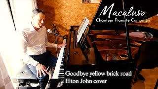 Goodbye Yellow Brick Road  Elton John Cover by Stéphane Macaluso [upl. by Silrac]