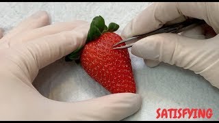 ASMR Satisfying Seed Removal From Strawberry [upl. by Kinch533]