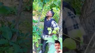 O Re Maiya  comedy funny short video [upl. by Kanya176]