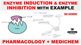 Enzyme Induction  Enzyme Inhibition  Pharmacology  Medicinal Chemistry  Carewell Pharma [upl. by Adnwahsor]