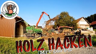 FarmVLOG299  Holzhacken im Sommerloch [upl. by Nwadahs]