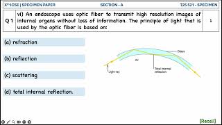 An endoscope uses optic fiber to transmit high resolution images of internal organs without loss [upl. by Siramed]