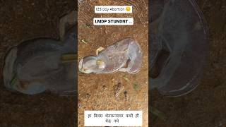 Abortion in 125 days 💯🐄 cow animaldoctor दूध [upl. by Kemp]