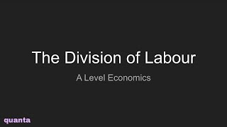 The Division of Labour [upl. by Kendall648]