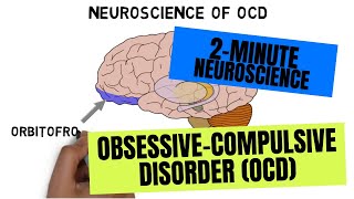 2Minute Neuroscience ObsessiveCompulsive Disorder OCD [upl. by Annmarie]