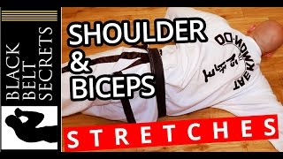 Shoulder Stretching Exercises [upl. by Roseanne]