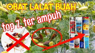 7 OBAT LALAT BUAH TER AMPUH INSEKTISIDA TERGANASS [upl. by Waugh283]