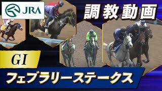 【調教動画】2024年 フェブラリーステークス｜JRA公式 [upl. by Vastah]