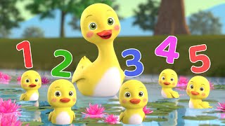 Number Song  Five Little Duckies  More Baby Songs  Beep Beep Nursery Rhymes [upl. by Krasner]