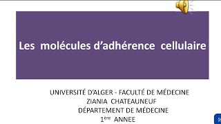 Les molécules dadhérence cellulaire cytologie première année médecine [upl. by Anais564]