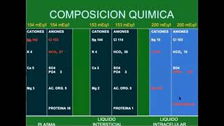 CLASE 22 DEL 10 PARTE 1 [upl. by Pickar29]