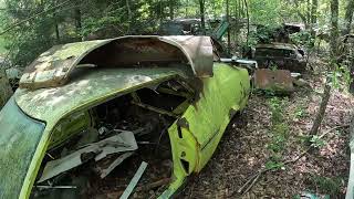 EP952 More Classic Mustangs amp Mustang IIs and more in the Woods [upl. by Darice374]