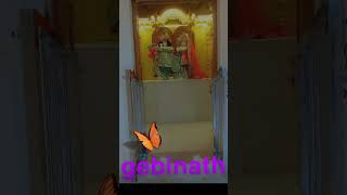 gebinath shree radhekrishna new video [upl. by Andrea]