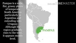 Pampas  The Argentine Grasslands [upl. by Huntlee533]