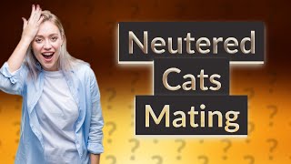 Do male cats still mate after being neutered [upl. by Lokin152]