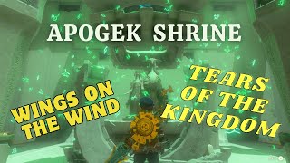 APOGEK SHRINEWINGS ON THE WINDTEARS OF THE KINGDOM TUTORIAL [upl. by Legin130]