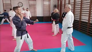 TAIHO JUTSU  KANO RYU  MEICHI RYU  SEMINARIO PORTUGAL 2024 [upl. by Maroj]