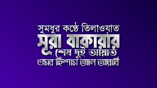 সূরা বাকারার শেষ দুই আয়াত  Surah Al Baqarah last 2 ayat  Omar Hisham Al Arabi [upl. by Arrik468]