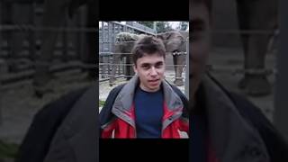 1st Video of Youtube  Jawed karim Video  Info Club trending viral youtube video explore [upl. by Yurt]