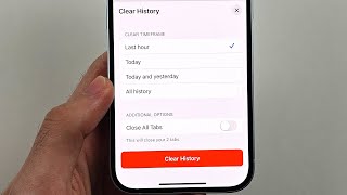 How To Clear History on Safari in iPhone iOS 18 [upl. by Karsten595]